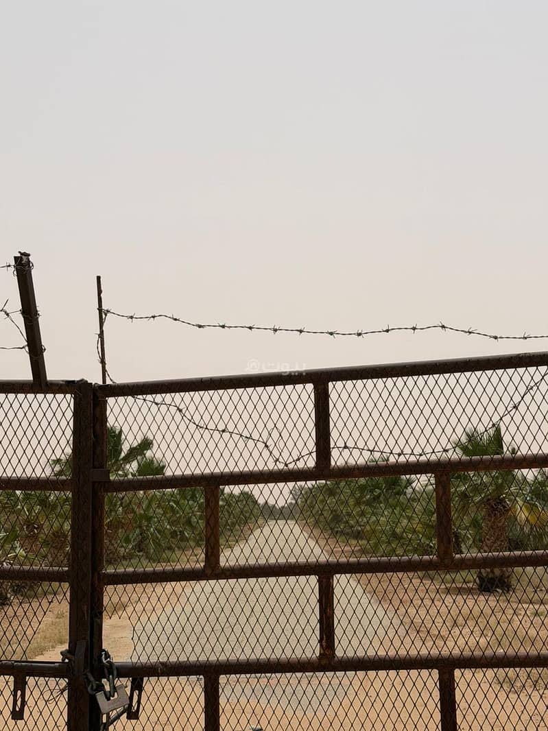 الرياض الرياض