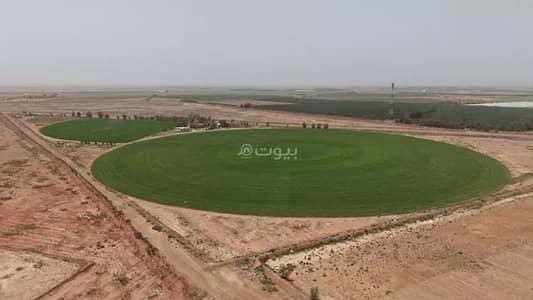مزرعة 1 غرفة نوم للبيع في الضلفعه - مزرعة للبيع في حي الفهد, مزرعة 1 غرفة نوم للبيع في الضلفعه - مزرعة للبيع في حي الفهد,