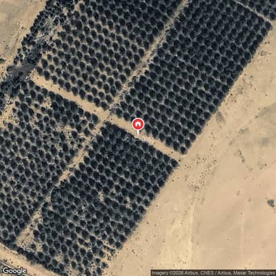 Residential Land for Sale in Jannayn Farms, Urayja - Residential Land in Jannayn Farms 243750 SAR - 87993934