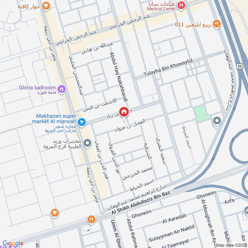 Map image