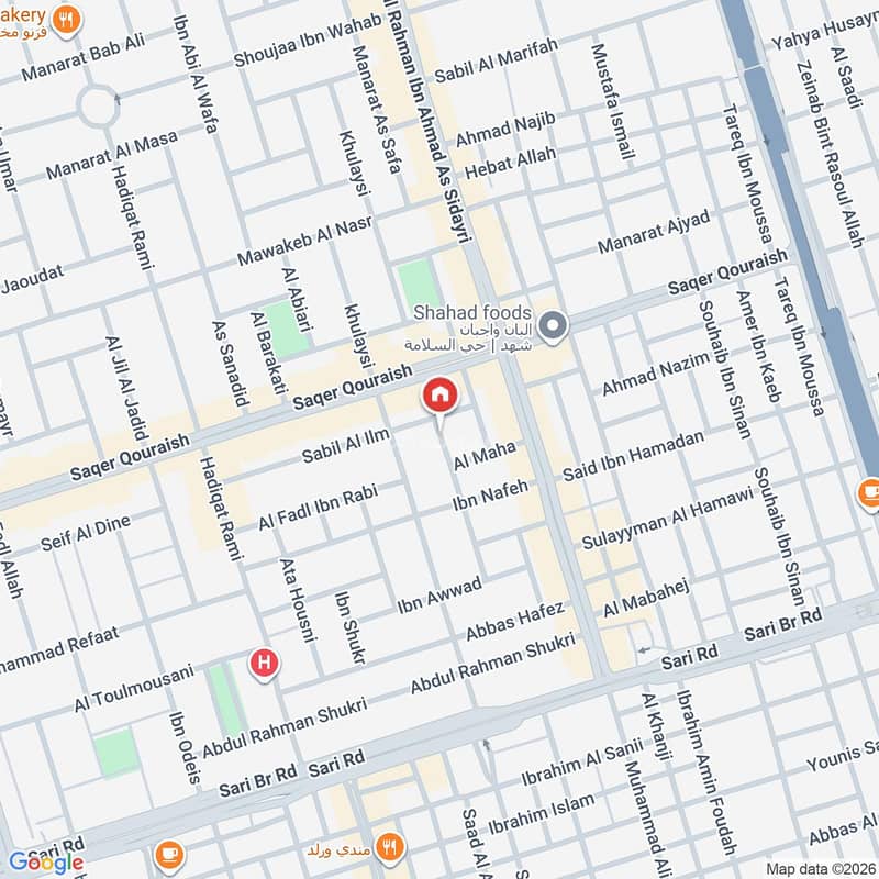 Map image
