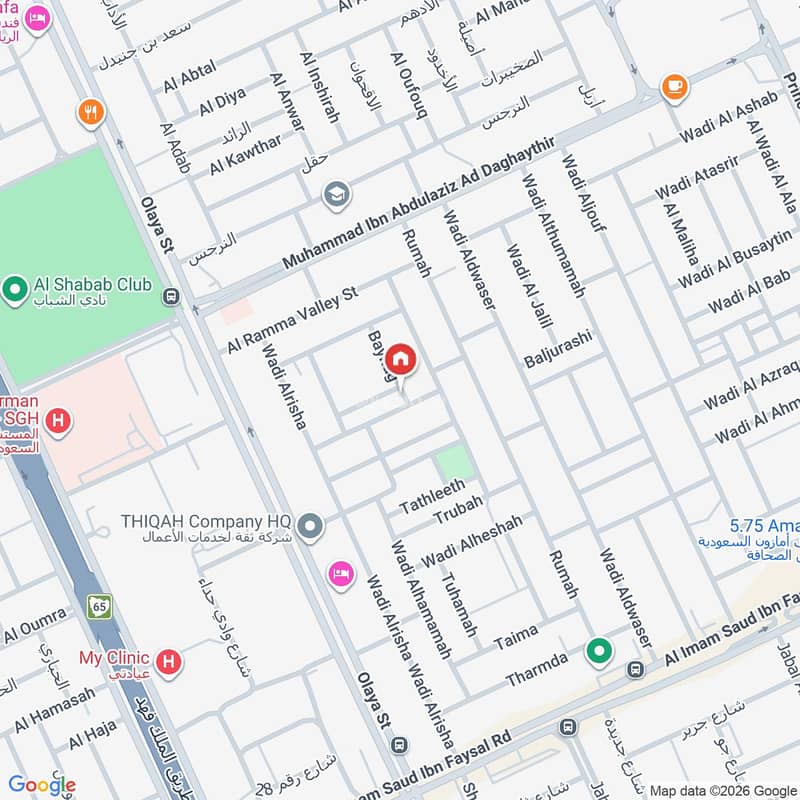 Map image