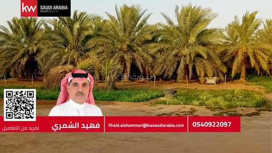 مزرعة  للبيع في الضبيعة، الدلم - مزرعه ٥٠٠٠ متر للبيع الخرج الرحمانيه