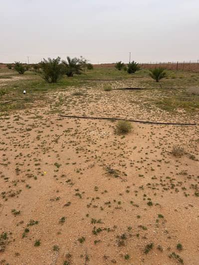 مزرعة 1 غرفة نوم للبيع في المجمعة منطقة الرياض - مزرعة للبيع في المجمعة على طريق حفر الباطن