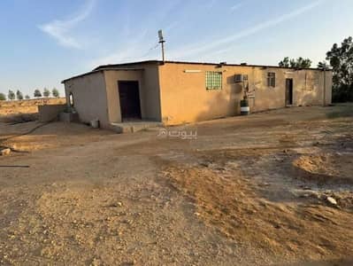 مزرعة 1 غرفة نوم للبيع في هجرة الزهوه والبيان - مزرعة للبيع في شارع بشري الجبرتي الشافعي, حي هجرة الزهوه والبيان, مدينة هجرة الزهوه والبيان