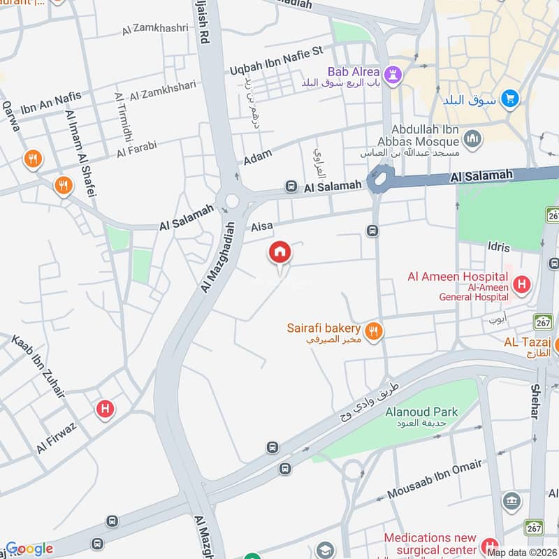 Map image