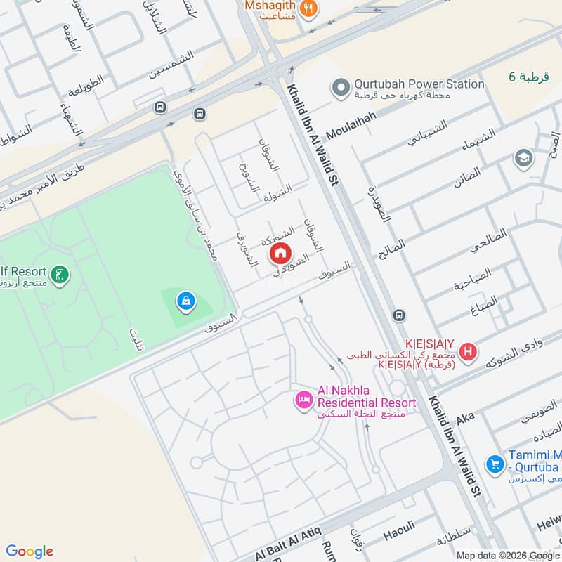 Map image