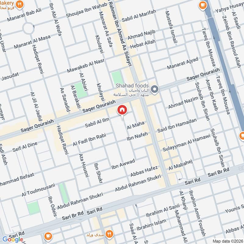 Map image