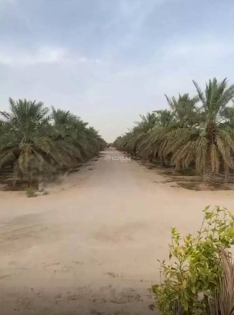 Farm For Sale in Al-Ghwaybah Agricultural Zone , Al Ahsa City Farm For Sale in Al-Ghwaybah Agricultural Zone , Al Ahsa City