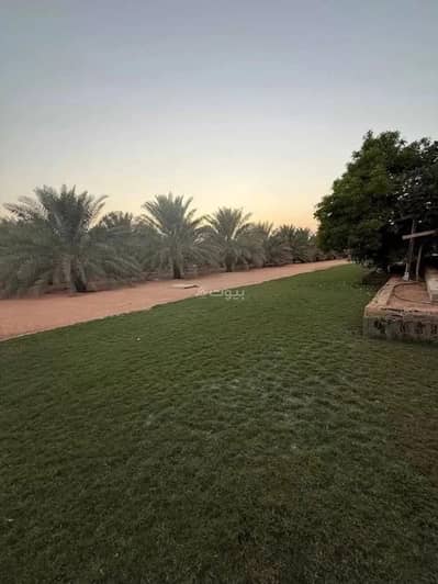 ارض سكنية  للايجار في أم الشعال، الرياض - أرض للإيجار في شارع ابن الطفيل, حي أم الشعال, مدينة الرياض, منطقة الرياض