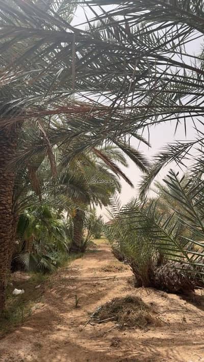 5 Bedroom Farm for Sale in Jilah 2 - Farm for sale in jilah 2