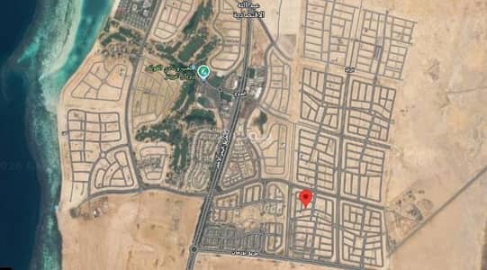 ارض سكنية للبيع في مدينة الملك عبدالله الاقتصادية - ارض سكنية للبيع ارض سكنية للبيع في مدينة الملك عبدالله الاقتصادية - ارض سكنية للبيع
