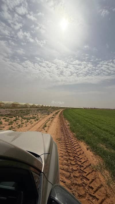 6 Bedroom Farm for Sale in Al Dabiea, Al Dilam - Farm in Al Dabiea 6 bedrooms 16000000 SAR - 88010734
