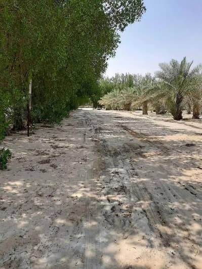 3 Bedroom Farm for Sale in Al Jubail - Farm For Sale in Al Jubail