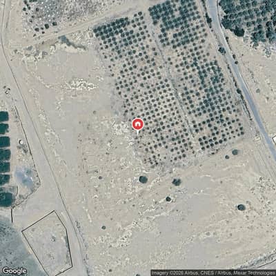 Farm for Sale in Al Mundasa, Madina - Boredom - the engineer (the designer) - the agricultural plan Farm for Sale in Al Mundasa, Madina - Boredom - the engineer (the designer) - the agricultural plan
