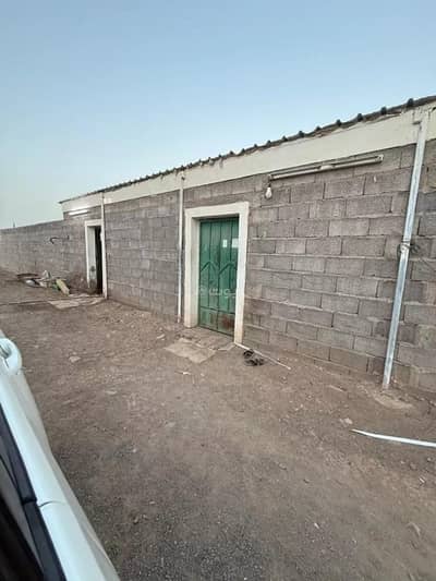 مزرعة 2 غرفة نوم للبيع في الخضراء، المدينة المنورة - مزرعة للبيع في الخضراء، المدينة المنورة مزرعة 2 غرفة نوم للبيع في الخضراء، المدينة المنورة - مزرعة للبيع في الخضراء، المدينة المنورة