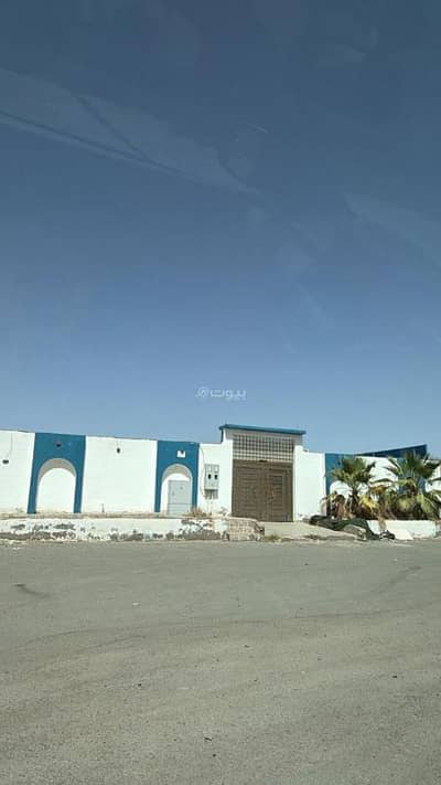 4 Bedroom Rest House for Sale in Abu Kabir, Madina - 4 Bedroom Rest House For Sale in Abu Kabir, Madina 4 Bedroom Rest House for Sale in Abu Kabir, Madina - 4 Bedroom Rest House For Sale in Abu Kabir, Madina