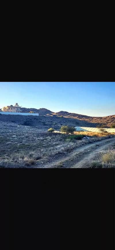 1 Bedroom Farm for Sale in Al Zayn, Abha - Farm For Sale in Al Zayn, Abha