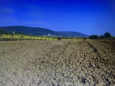 Agriculture Plot for Sale in Qaryat Alawdyre - Land for sale in Al-Ourdair village Agriculture Plot for Sale in Qaryat Alawdyre - Land for sale in Al-Ourdair village