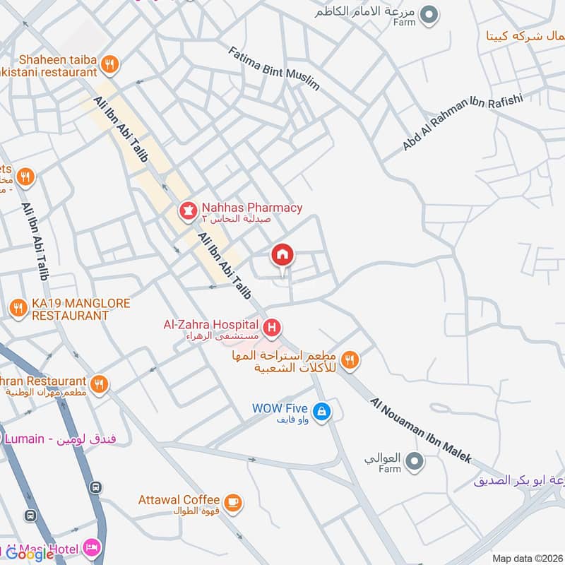 Map image