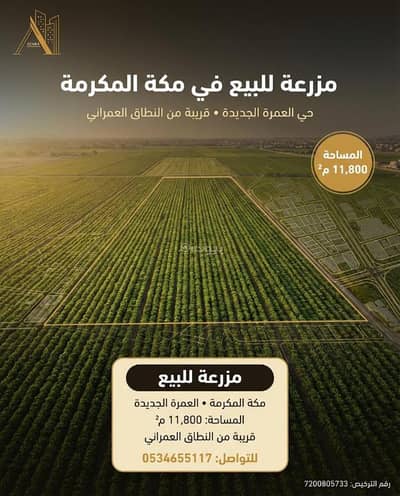 Farm for Sale in Al Umrah, Makkah - Farm for sale in Al-Omrah neighborhood, Mecca city Farm for Sale in Al Umrah, Makkah - Farm for sale in Al-Omrah neighborhood, Mecca city