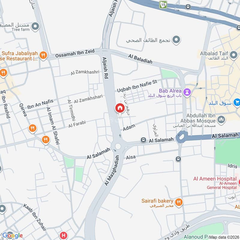 Map image