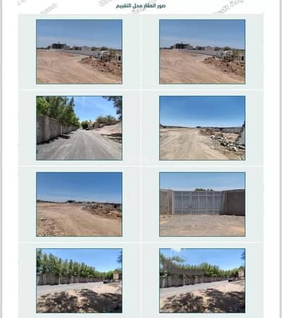 1 Bedroom Farm for Sale in Al Ayun, Madina - A farm for sale on Khadij Bin Salamah Street, Al Uyun District, Medina City. 1 Bedroom Farm for Sale in Al Ayun, Madina - A farm for sale on Khadij Bin Salamah Street, Al Uyun District, Medina City.