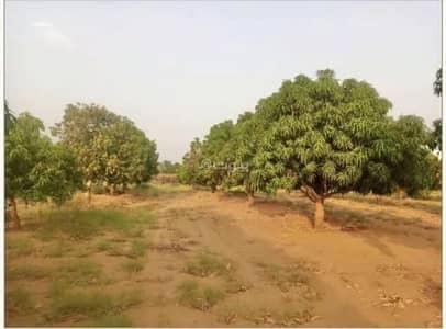 Farm for Sale in Al Marwahyah Al Masrohyah - Farm For Sale in Al Marwah, Jazan Farm for Sale in Al Marwahyah Al Masrohyah - Farm For Sale in Al Marwah, Jazan