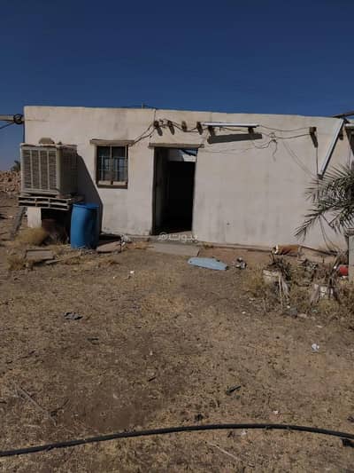 3 Bedroom Farm for Rent in Al Mithnab Al Qassim Region - A farm for rent on Al-Muthnab Street 254, Al-Muthnab City, Qassim Region