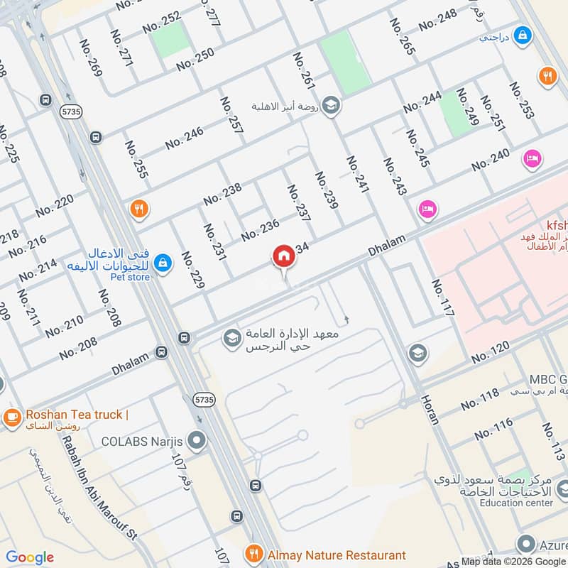 Map image