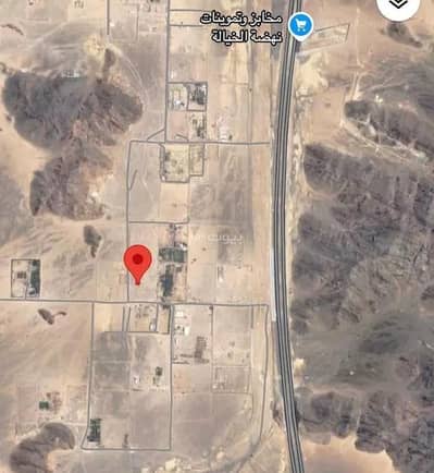 1 Bedroom Farm for Sale in Al Mundasa, Madina - Farm For Sale in Al Mundasa, Madina 1 Bedroom Farm for Sale in Al Mundasa, Madina - Farm For Sale in Al Mundasa, Madina