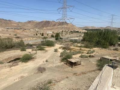 ارض سكنية للبيع في أم حبلين الغربية، جدة - أرض للبيع في شارع المبارك بن الأعز, حي أم حبلين الغربية, مدينة جدة ارض سكنية للبيع في أم حبلين الغربية، جدة - أرض للبيع في شارع المبارك بن الأعز, حي أم حبلين الغربية, مدينة جدة