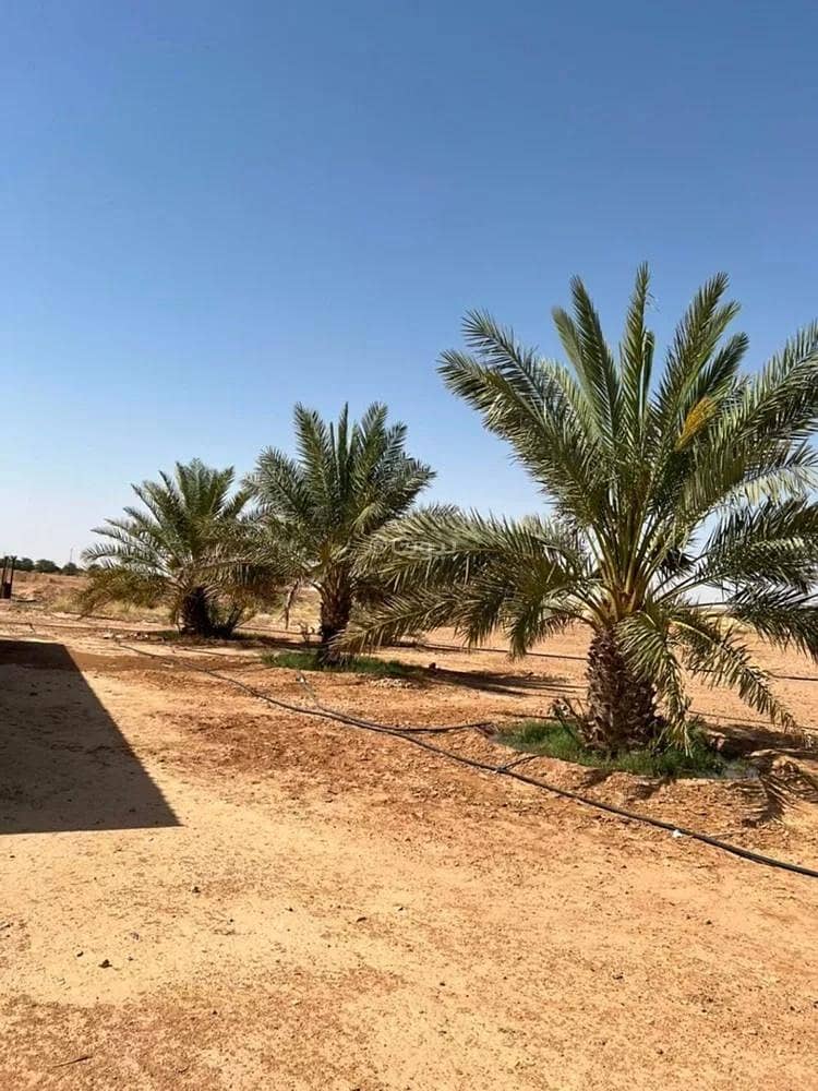Farm for sale in Prince Salman neighborhood, undefined Farm for sale in Prince Salman neighborhood, undefined
