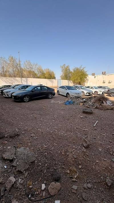 ارض سكنية للبيع في القبلتين، المدينة المنورة - أراضي سكنية للبيع في القبلتين ارض سكنية للبيع في القبلتين، المدينة المنورة - أراضي سكنية للبيع في القبلتين
