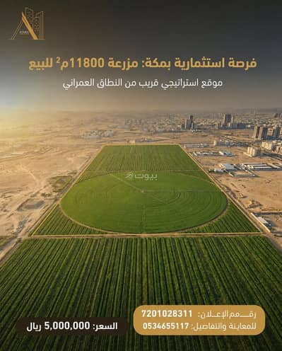 Farm for Sale in Al Umrah, Makkah - Farm in Al Umrah 5000000 SAR - 88030765