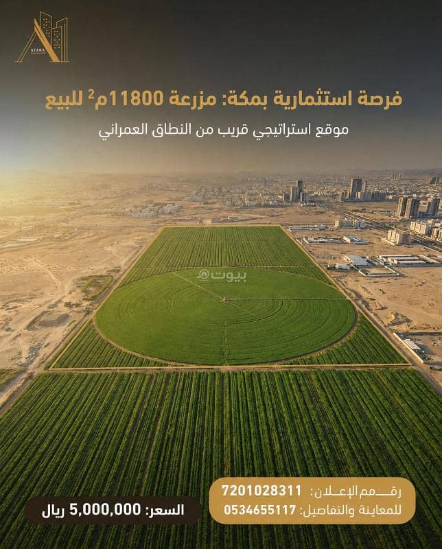 Farm For Sale in Al Umrah, Makkah Farm For Sale in Al Umrah, Makkah
