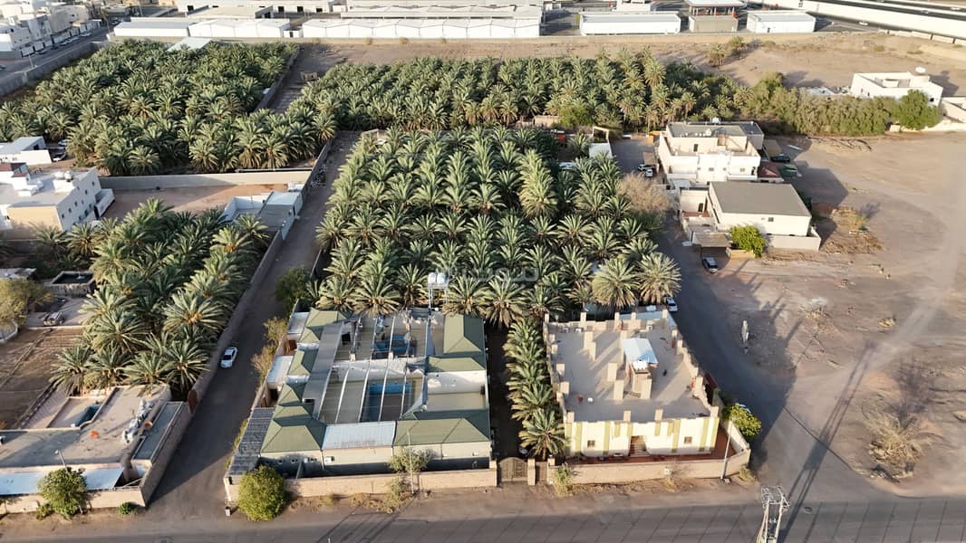 Farm For Sale in Dhu Al Hulayfah, Madina Farm For Sale in Dhu Al Hulayfah, Madina