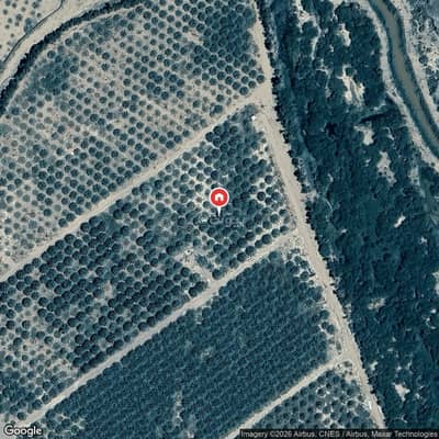 Farm for Sale in Al Mundasa, Madina - Farm For Sale in Al Mundasa, Madina Farm for Sale in Al Mundasa, Madina - Farm For Sale in Al Mundasa, Madina