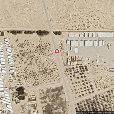 مزرعة للايجار في بلدة العوضية، العيون - مزرعة للإيجار في حي العوضية، العيون مزرعة للايجار في بلدة العوضية، العيون - مزرعة للإيجار في حي العوضية، العيون