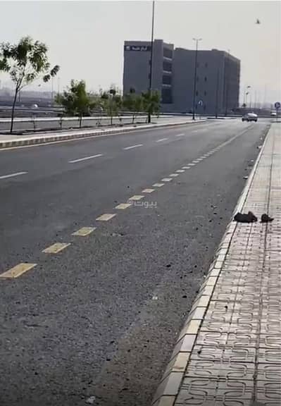 ارض سكنية للبيع في الاناهي، المدينة المنورة - أرض للبيع في حي الاناهي, المدينه المنوره ارض سكنية للبيع في الاناهي، المدينة المنورة - أرض للبيع في حي الاناهي, المدينه المنوره
