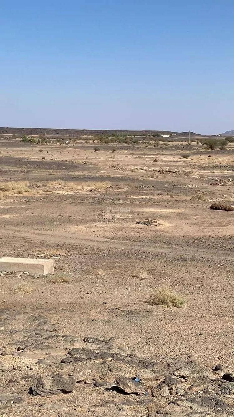 أرض زراعية للبيع في الصويدرة ، المدينة أرض زراعية للبيع في الصويدرة ، المدينة