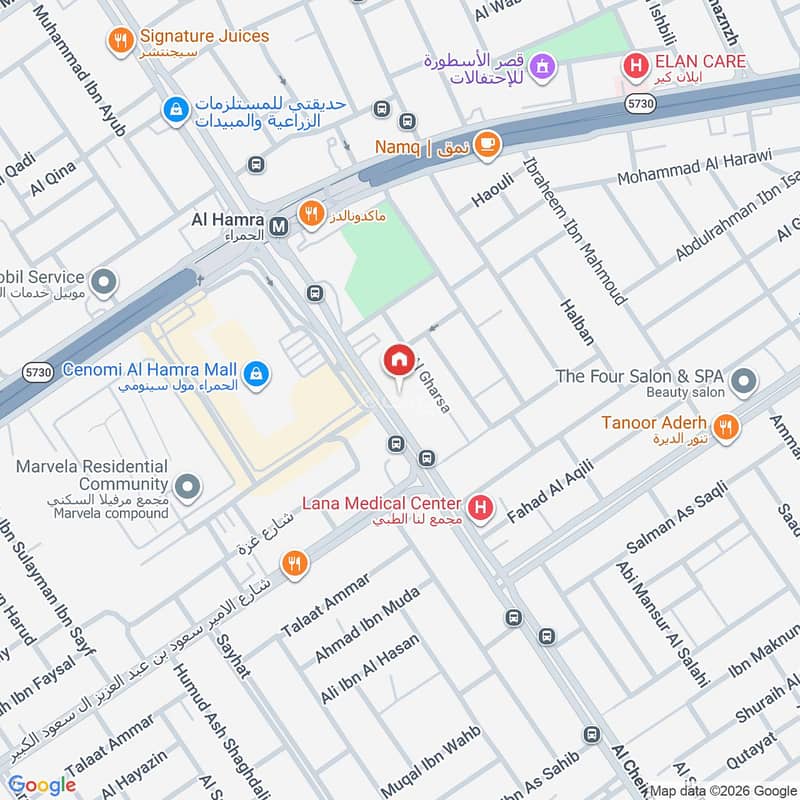 Map image