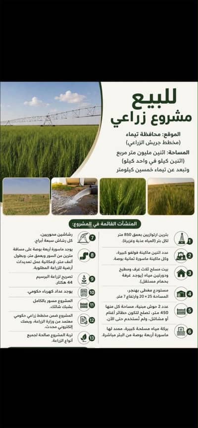 ارض زراعية  للبيع في الورود، تبوك - أرض للبيع في الورود، تبوك