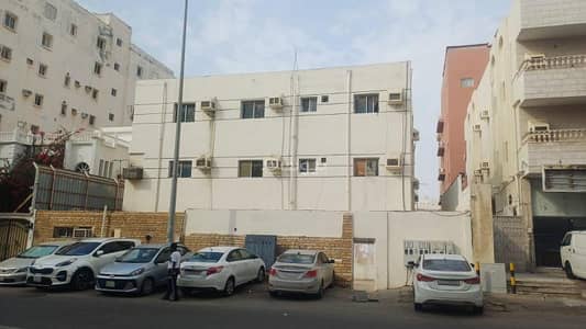 فلیٹ 3 غرف نوم للايجار في شمال جدة، جدة - شقة للإيجار في شارع شجاع بن وهب, حي السلامة, مدينة جدة, منطقة مكة المكرمة فلیٹ 3 غرف نوم للايجار في شمال جدة، جدة - شقة للإيجار في شارع شجاع بن وهب, حي السلامة, مدينة جدة, منطقة مكة المكرمة