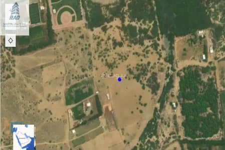 Residential Land for Sale in Abu Arish - Residential Land For Sale in Abu Arish Residential Land for Sale in Abu Arish - Residential Land For Sale in Abu Arish
