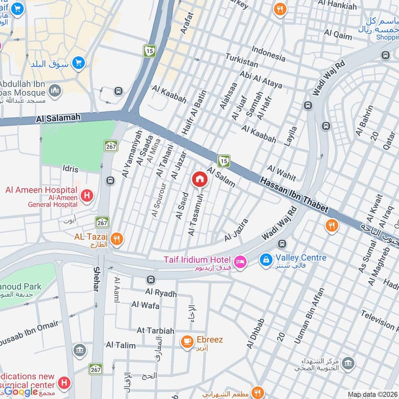 Map image