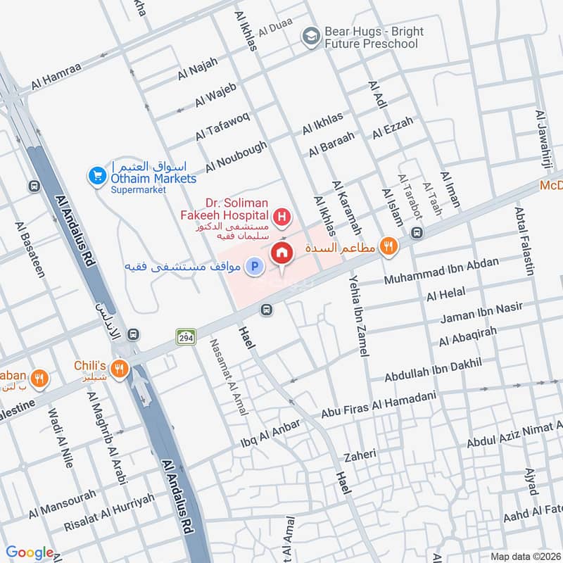 Map image