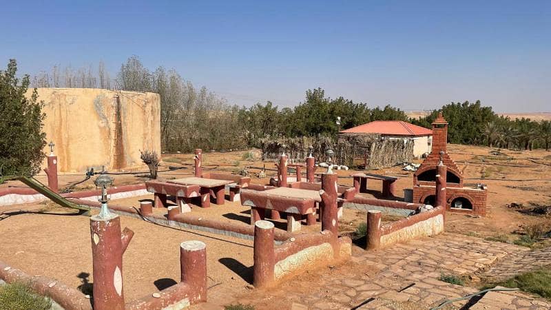 مزرعة للبيع في حجرة الذهيبية والخضراء مزرعة للبيع في حجرة الذهيبية والخضراء