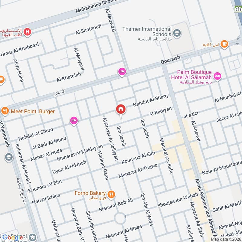 Map image