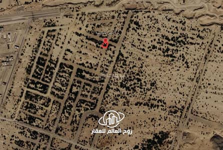 Residential Land for Sale in Shaeb Amir Al Jadid, Makkah - Residential Land in Shaeb Amir Al Jadid 555455 SAR - 88090983 Residential Land for Sale in Shaeb Amir Al Jadid, Makkah - Residential Land in Shaeb Amir Al Jadid 555455 SAR - 88090983